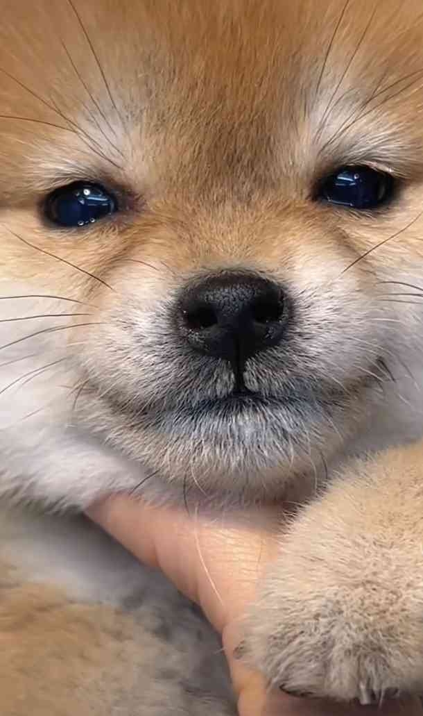 話に矛盾が多い人