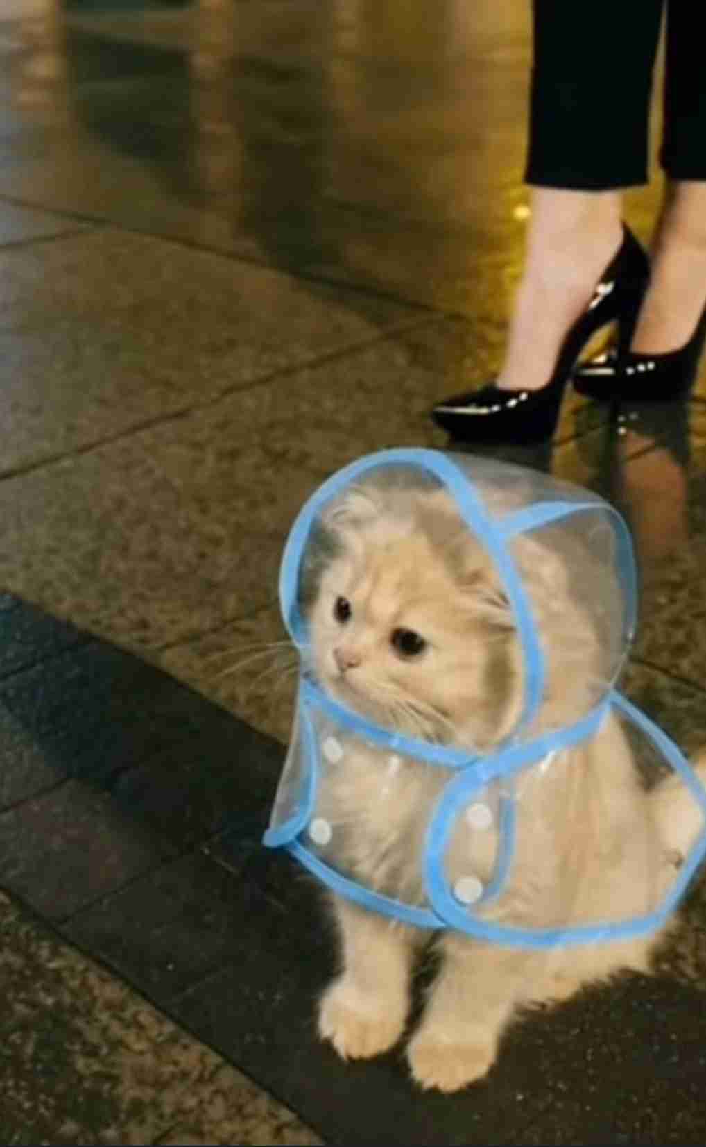 パーソナルカラー、アテになる？