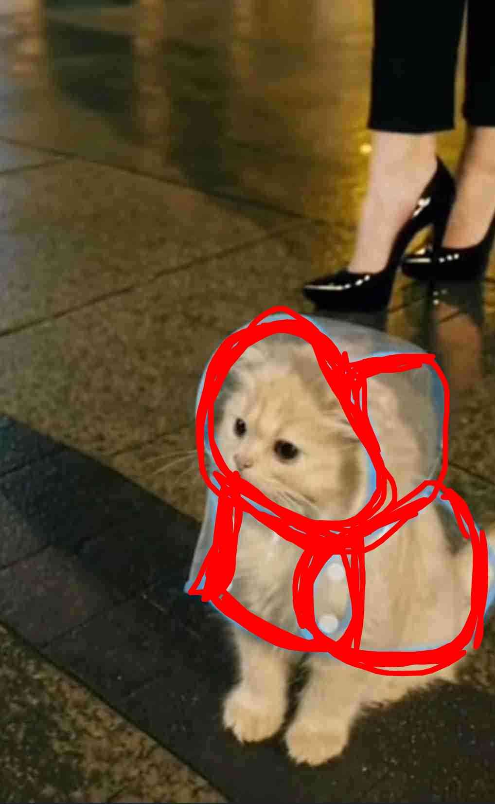 パーソナルカラー、アテになる？