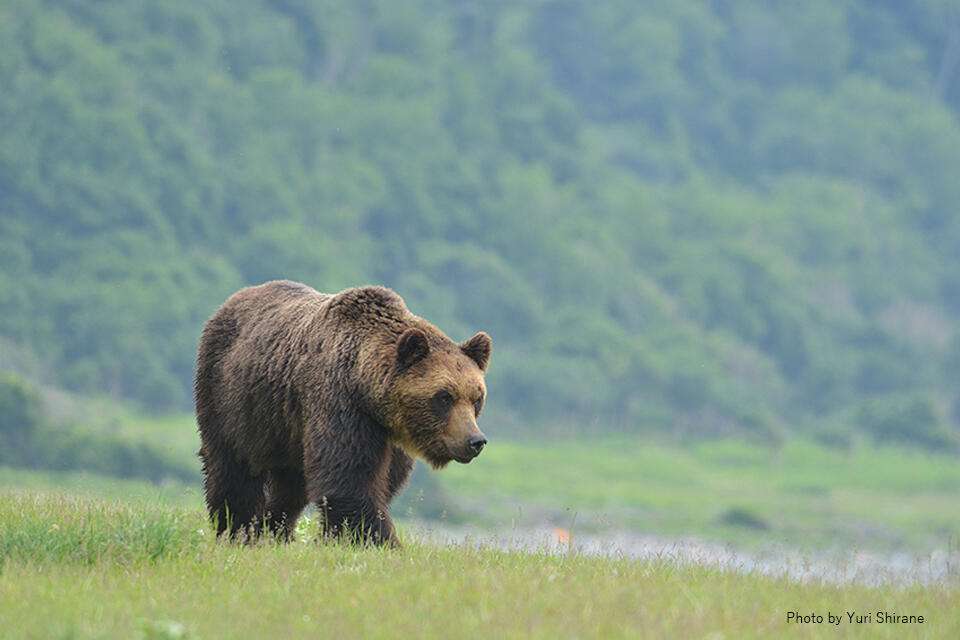 北海道観光の思い出
