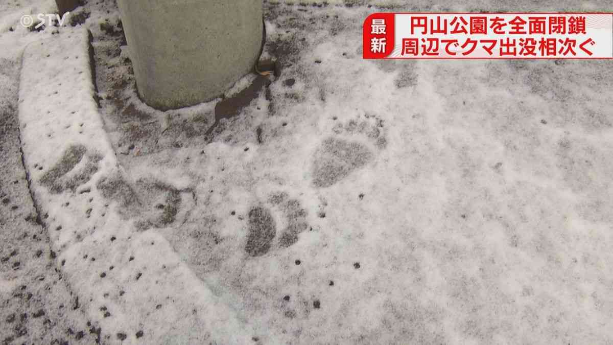 北海道観光の思い出