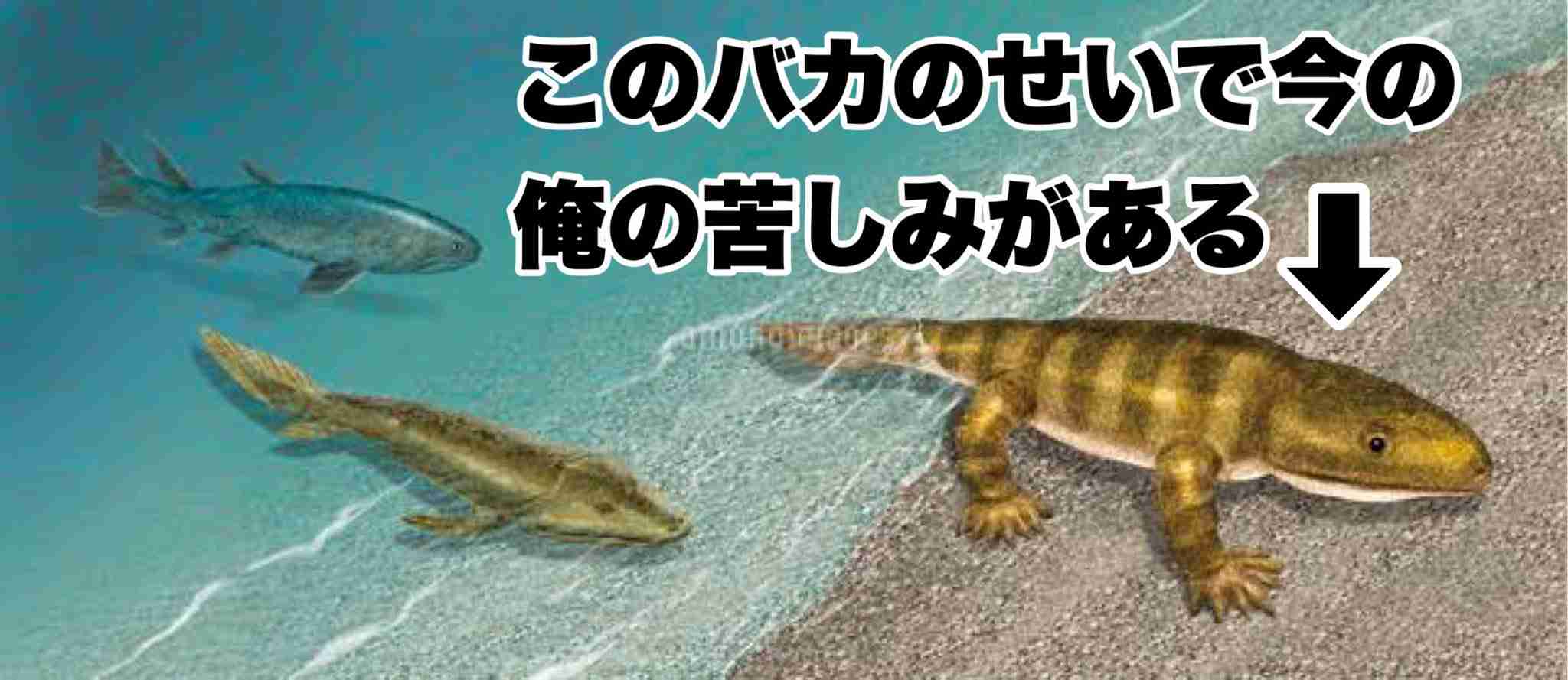 なぜ保存したのか分からない画像を貼っていくトピ