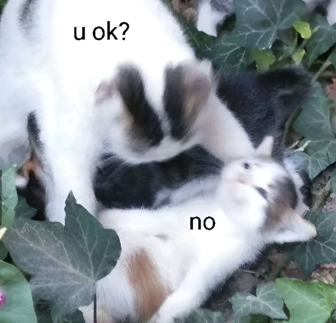 なぜ保存したのか分からない画像を貼っていくトピ