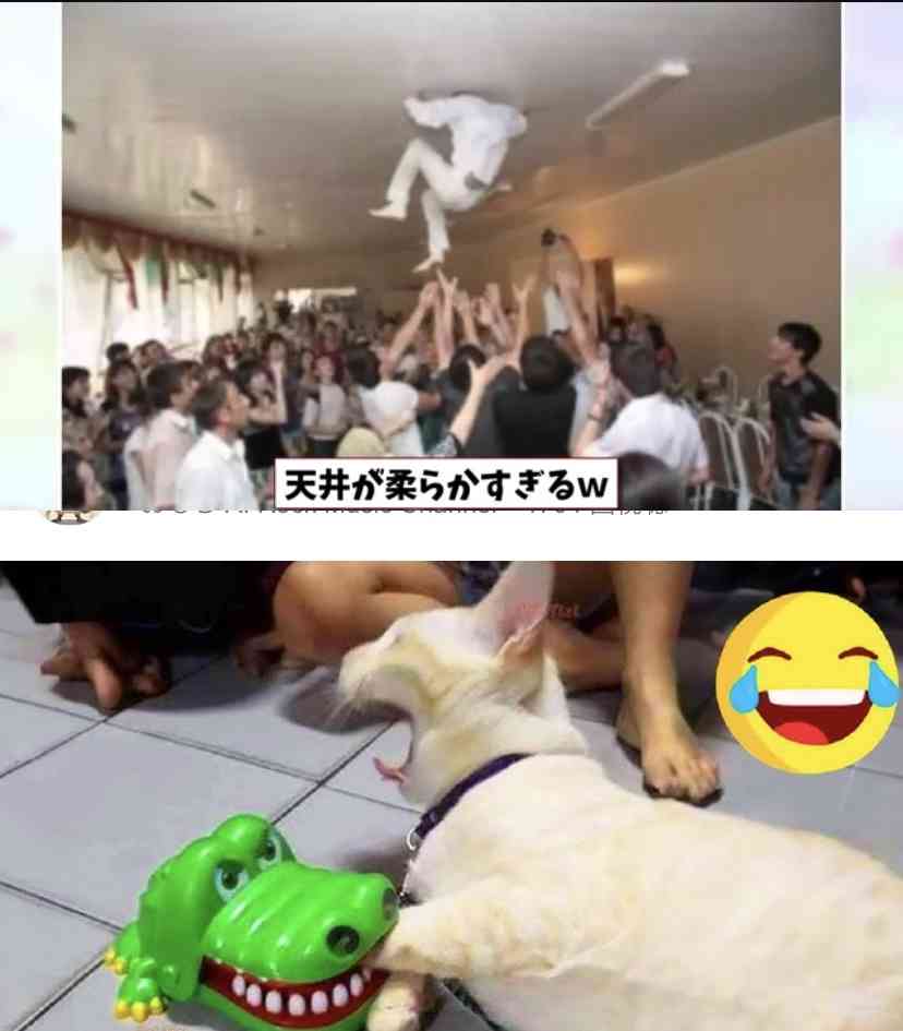 なぜ保存したのか分からない画像を貼っていくトピ