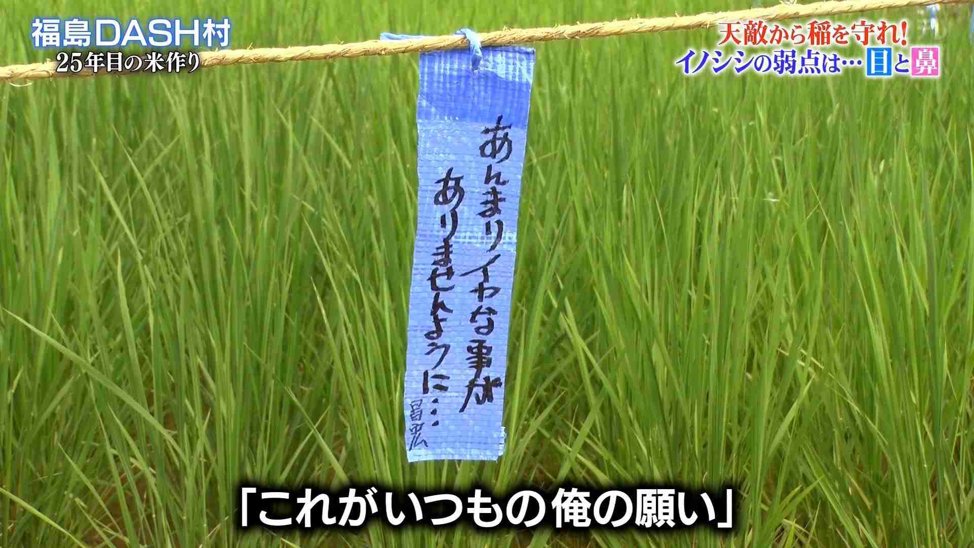 なぜ保存したのか分からない画像を貼っていくトピ