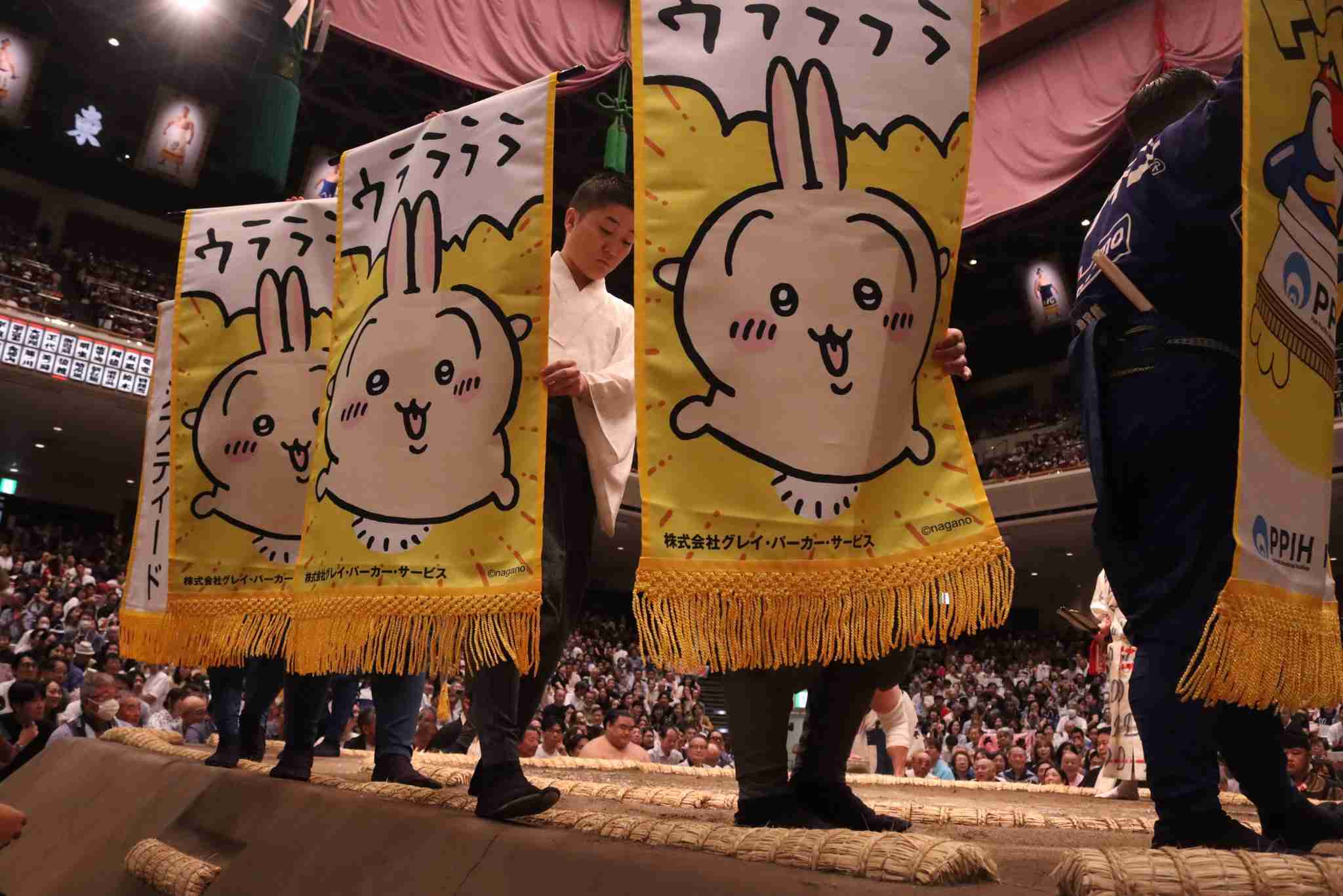 なぜ保存したのか分からない画像を貼っていくトピ