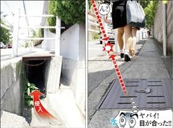 なぜ保存したのか分からない画像を貼っていくトピ