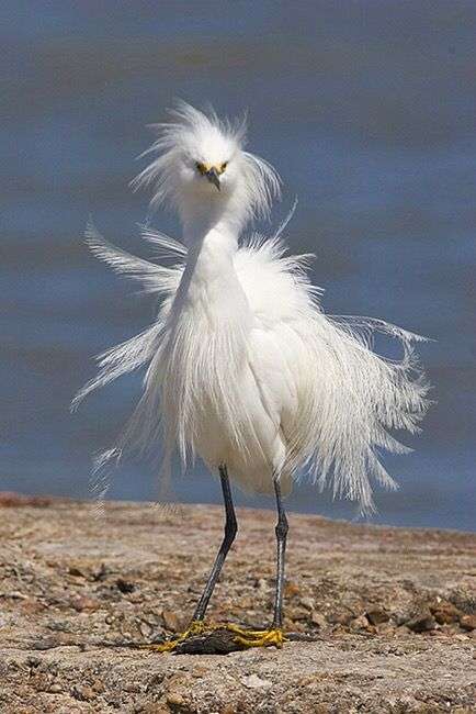 なぜ保存したのか分からない画像を貼っていくトピ