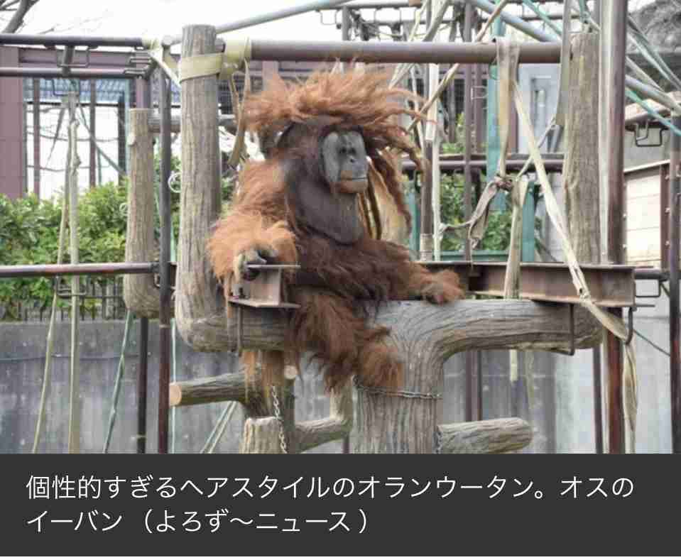 なぜ保存したのか分からない画像を貼っていくトピ