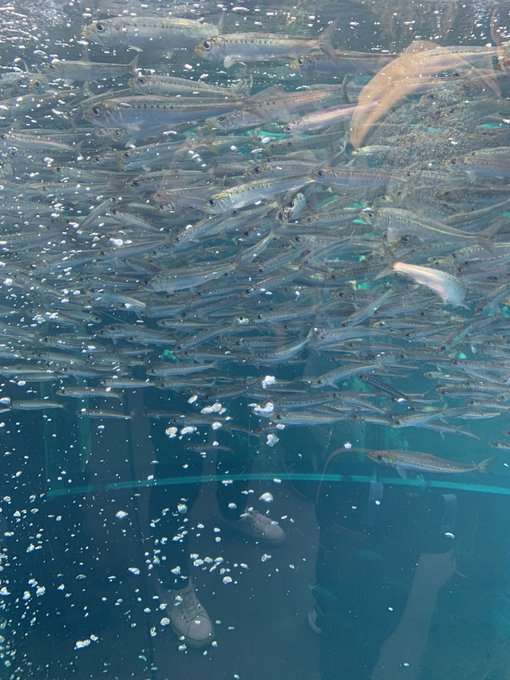 なぜ保存したのか分からない画像を貼っていくトピ