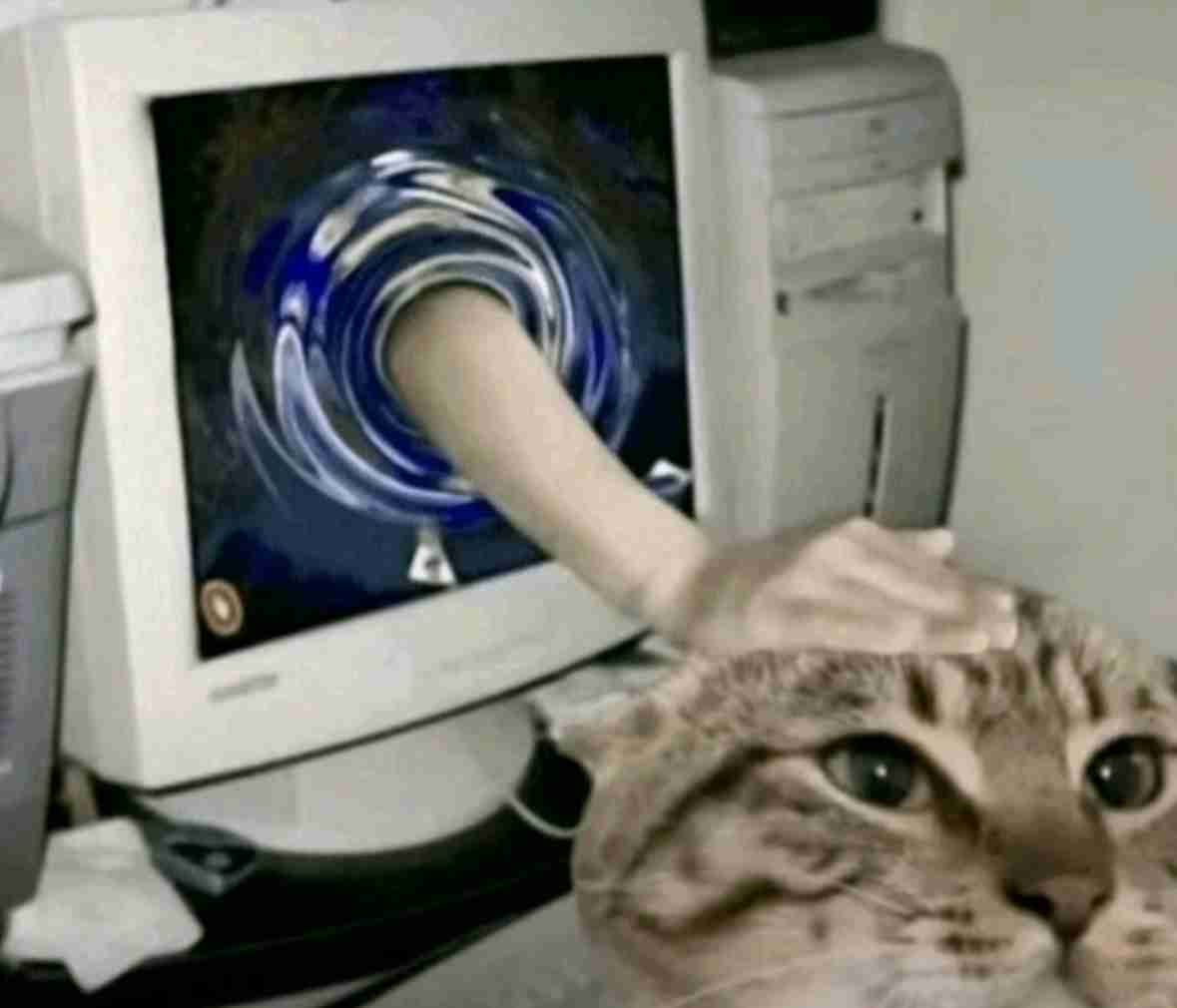 なぜ保存したのか分からない画像を貼っていくトピ