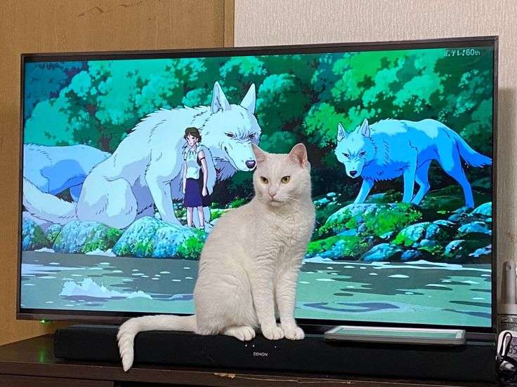 なぜ保存したのか分からない画像を貼っていくトピ