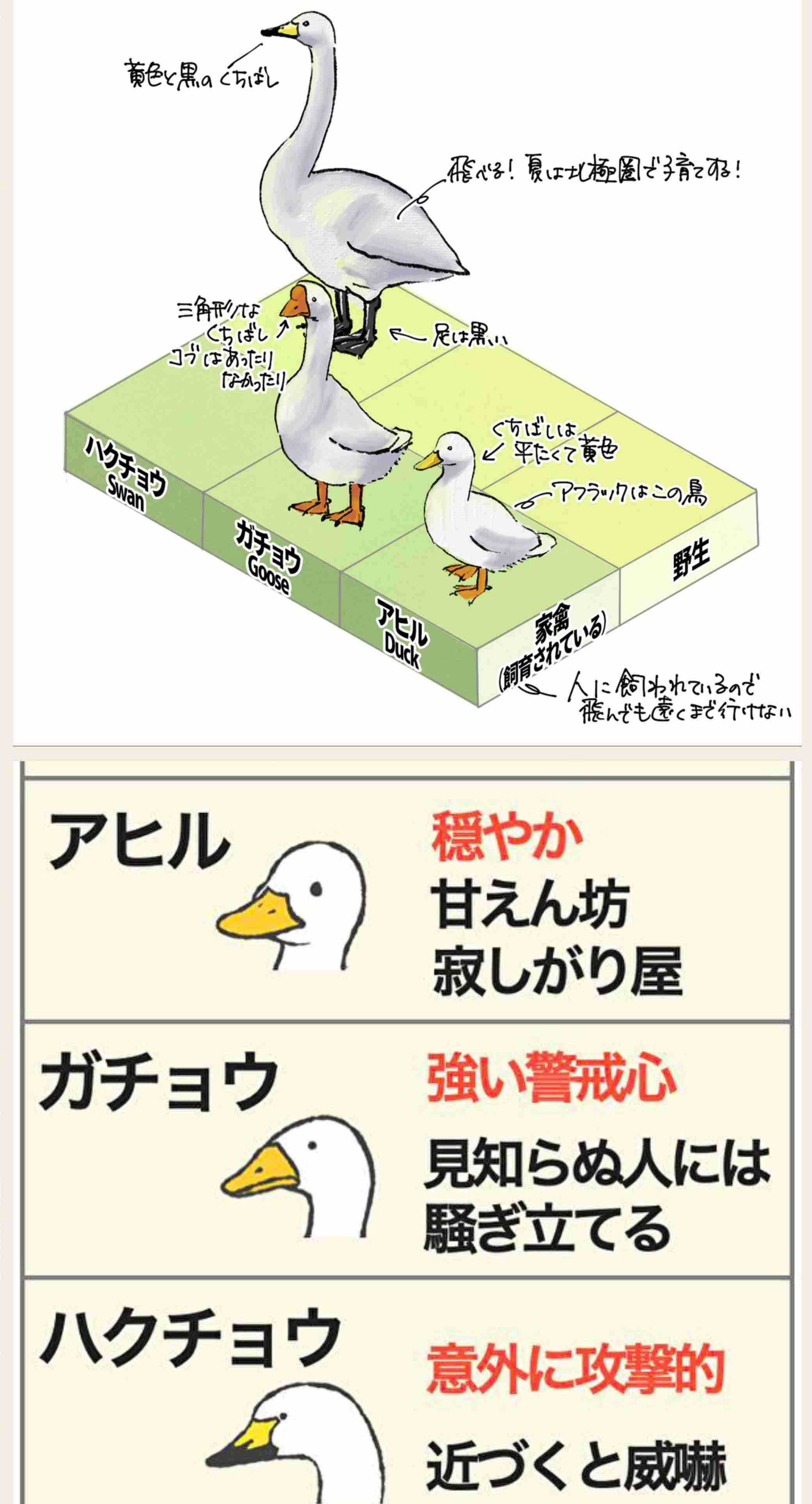 なぜ保存したのか分からない画像を貼っていくトピ