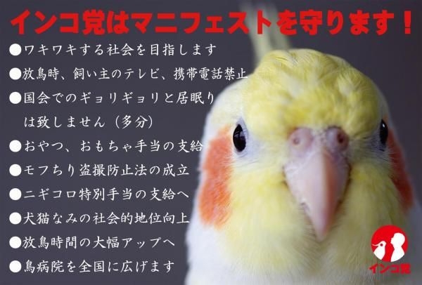なぜ保存したのか分からない画像を貼っていくトピ