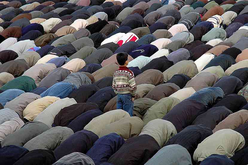 なぜ保存したのか分からない画像を貼っていくトピ