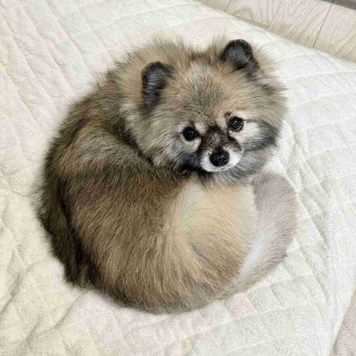 なぜ保存したのか分からない画像を貼っていくトピ