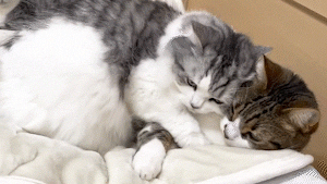 依存気質な人を見抜くには?