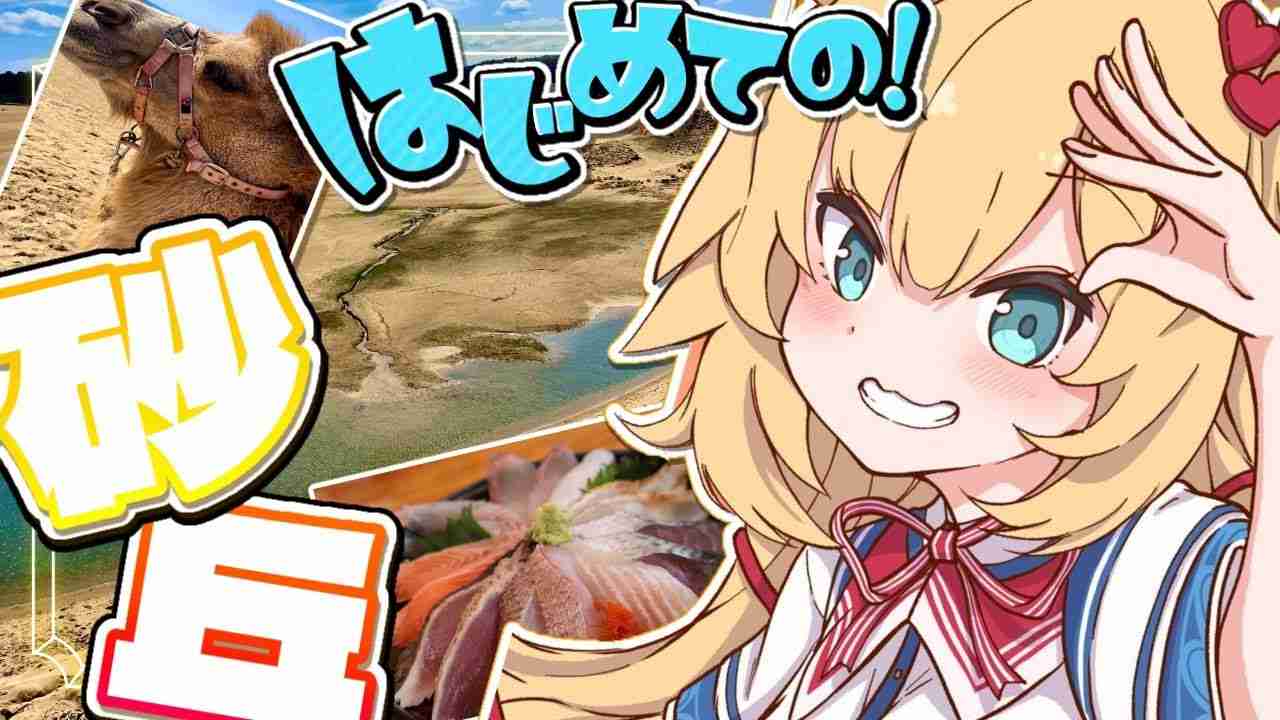 ソロ活、一人旅って本当に心から楽しいですか？