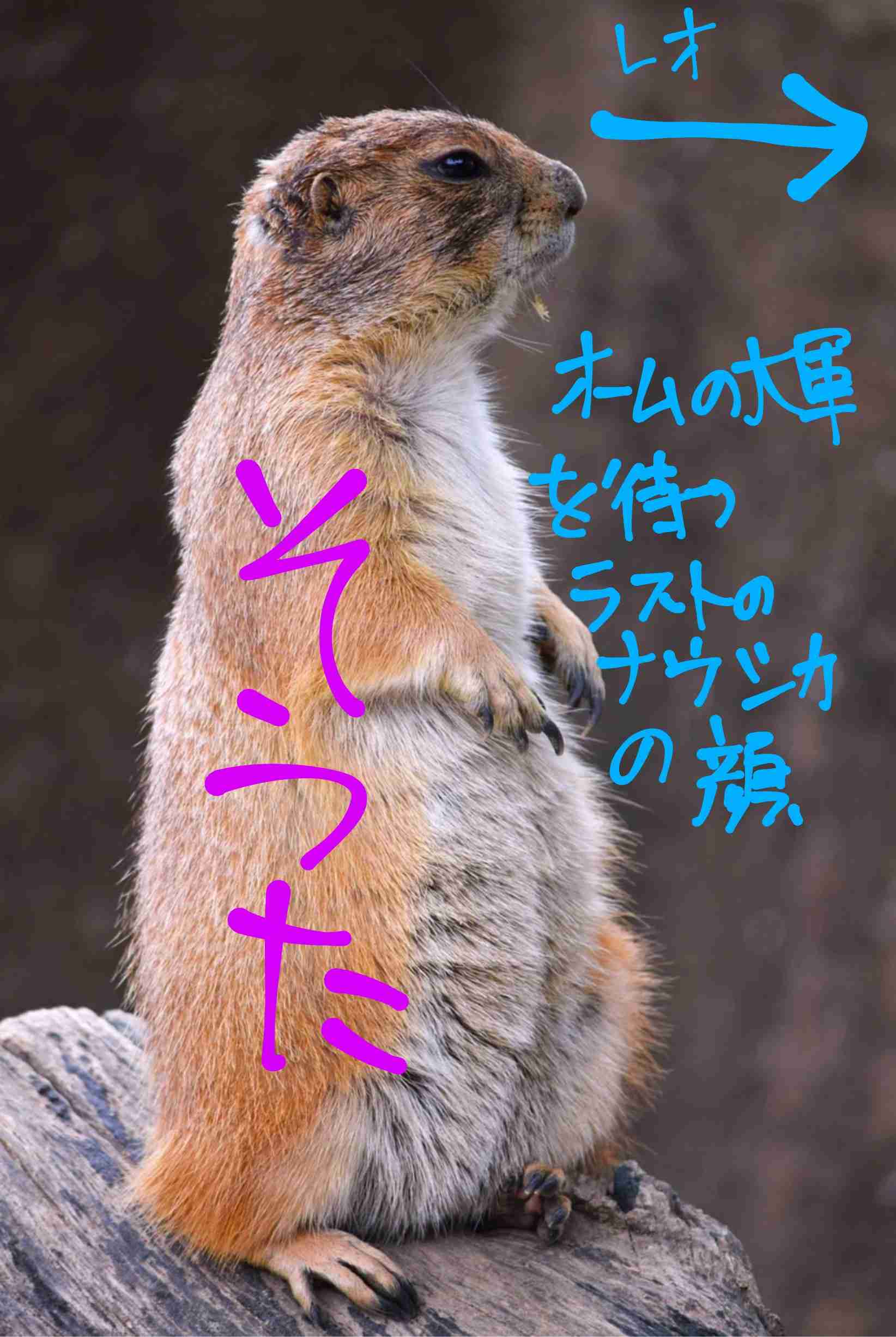 BE:FIRST ファントピ47【アンチ禁止】