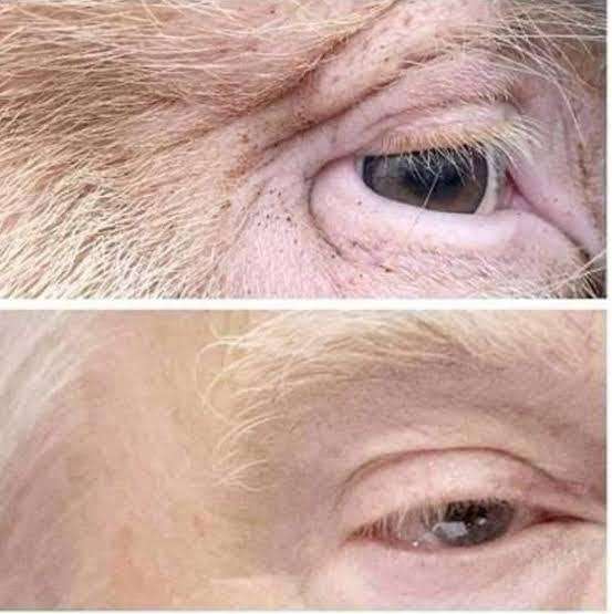 トランプ氏、女性記者に「ブタ、静かに」　エプスタイン元被告めぐる質問さえぎる