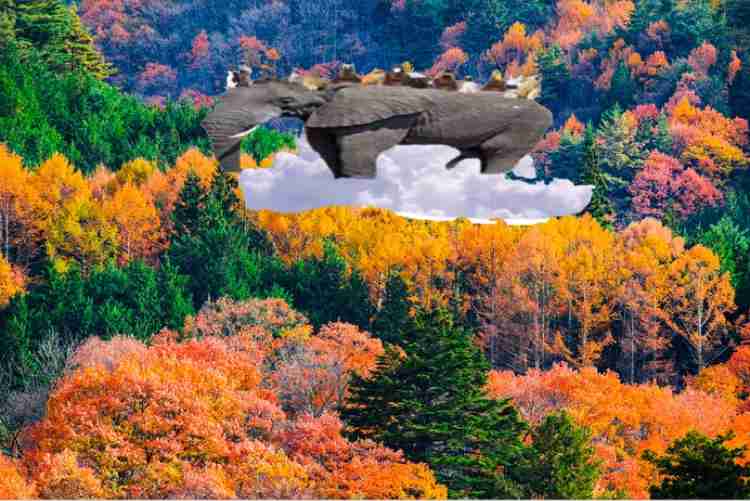 パキスタン首都で自爆攻撃、12人死亡　北西部の軍学校でも襲撃事件