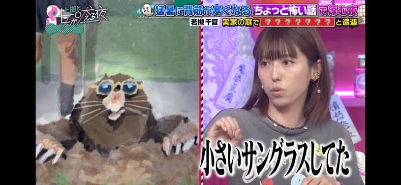 好きな女性バラエティタレント