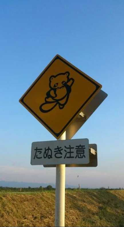 たぬき!狸!Tanuki!Part7