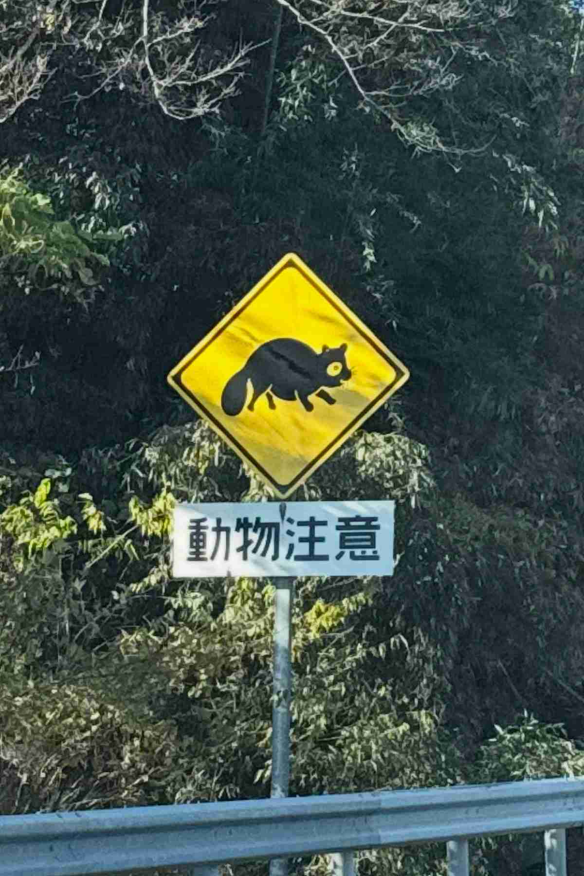 たぬき!狸!Tanuki!Part7