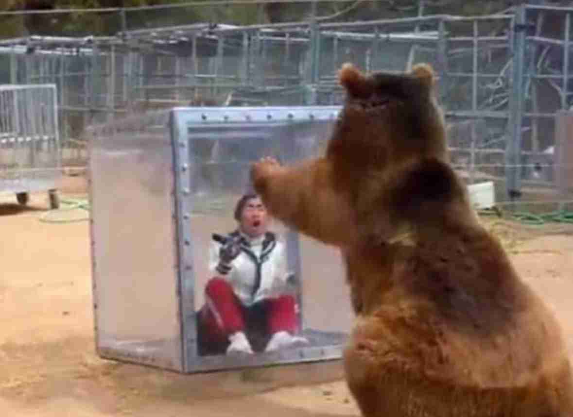 生活圏に熊が出た