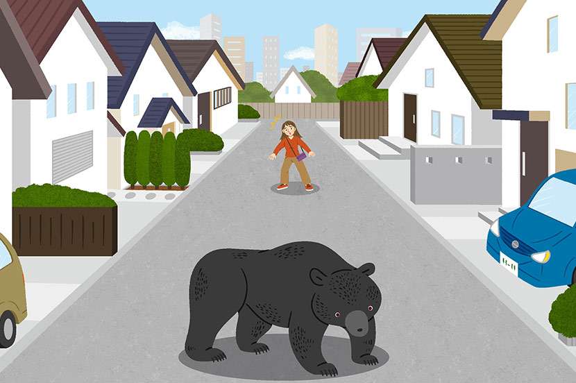 「家族がクマに襲われた。血が出ている」クマが突如 頭上の木の上から…顔咬まれた女性は家に駆けこみ…