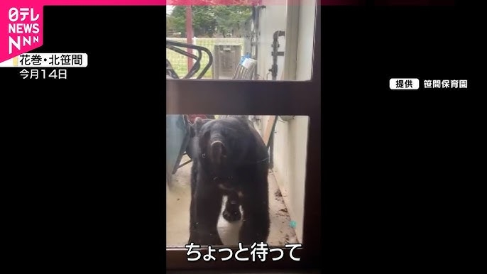 「家族がクマに襲われた。血が出ている」クマが突如 頭上の木の上から…顔咬まれた女性は家に駆けこみ…