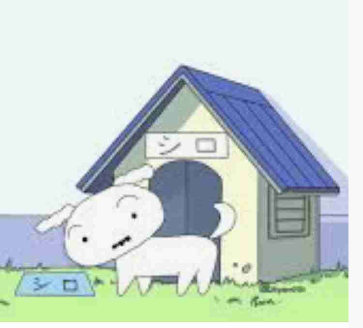 ラブラドール・レトリバーがクマに襲われたか　犬の左足にかまれた跡　付近にはクマのふん　秋田・五城目町