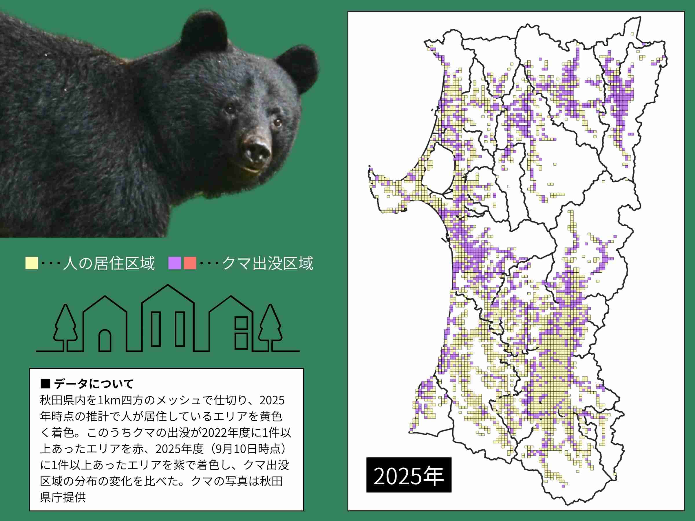 ラブラドール・レトリバーがクマに襲われたか 犬の左足にかまれた跡 付近にはクマのふん 秋田・五城目町