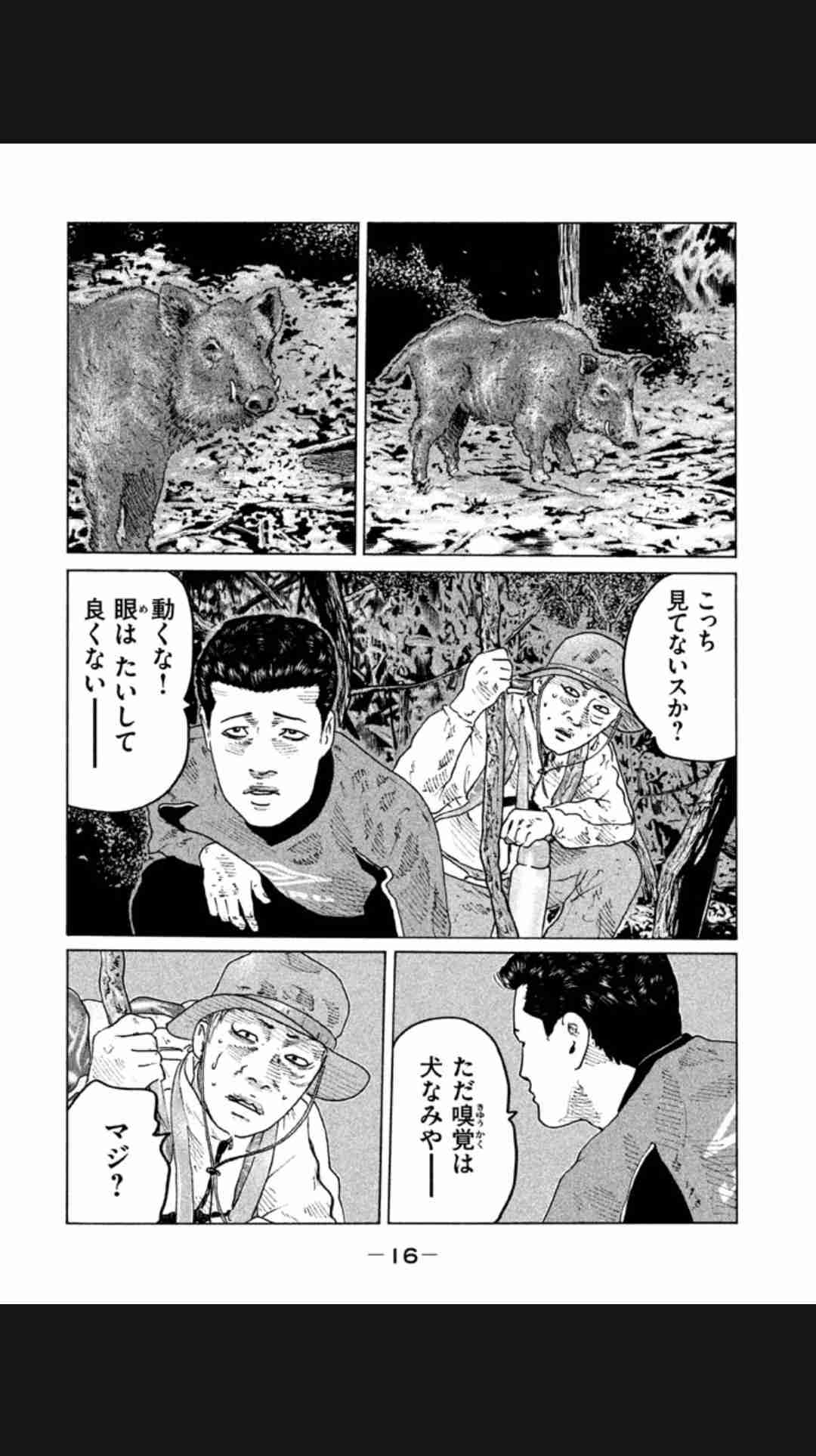 東京・江戸川区でイノシシの目撃相次ぐ　けさ東葛西などで通報9件ほど　現在は行方分からず区は注意呼びかけ