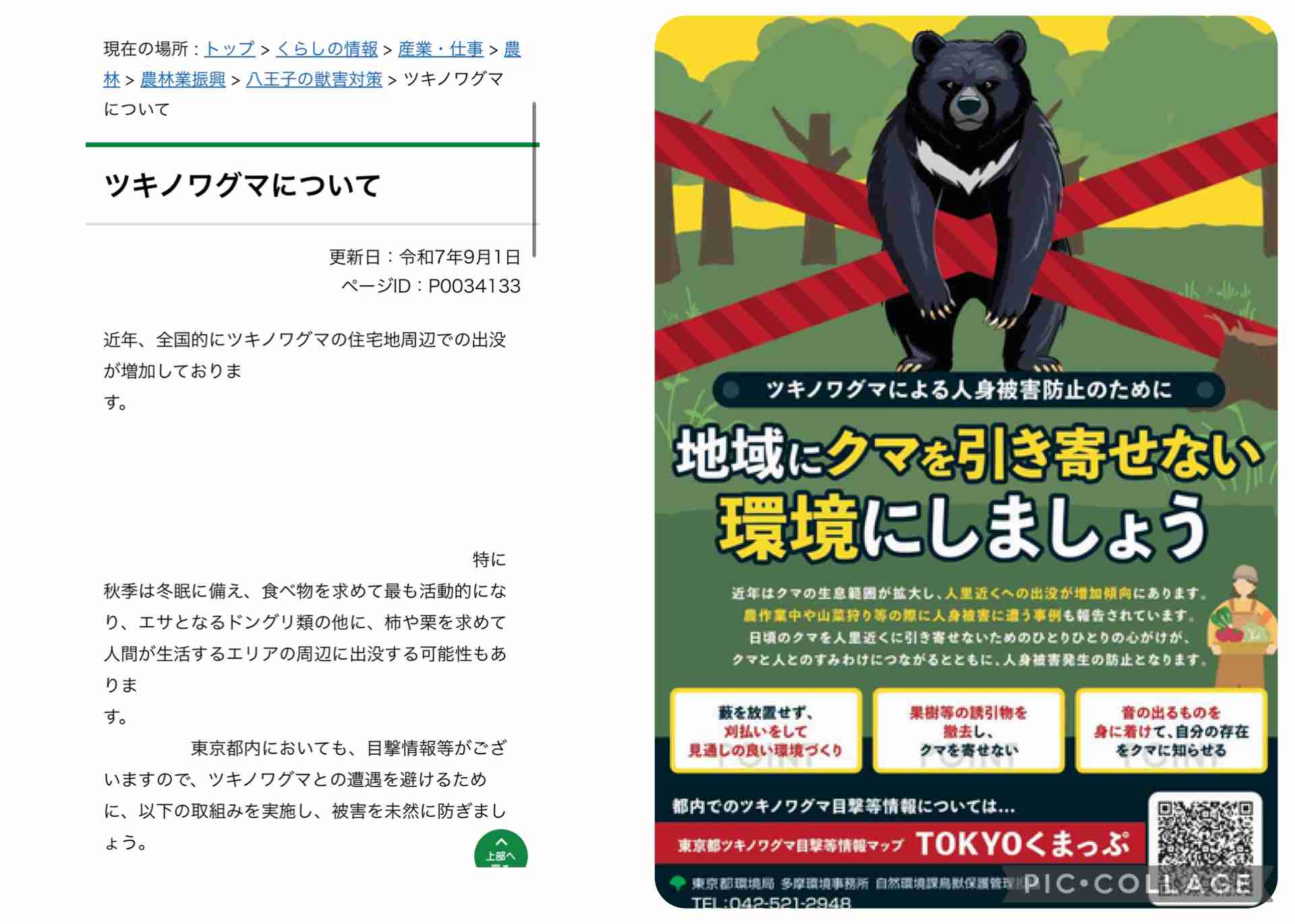 東京・江戸川区でイノシシの目撃相次ぐ　けさ東葛西などで通報9件ほど　現在は行方分からず区は注意呼びかけ