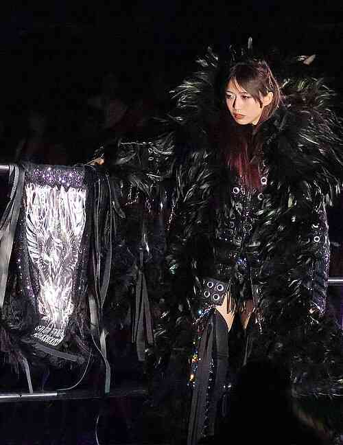 フワちゃん、プロレスで活動復帰!リング登場…オール敬語に騒然 休止1年 12・29両国“再デビュー”