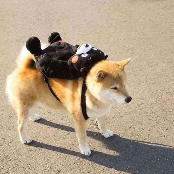 職場の飲み会、楽しい？