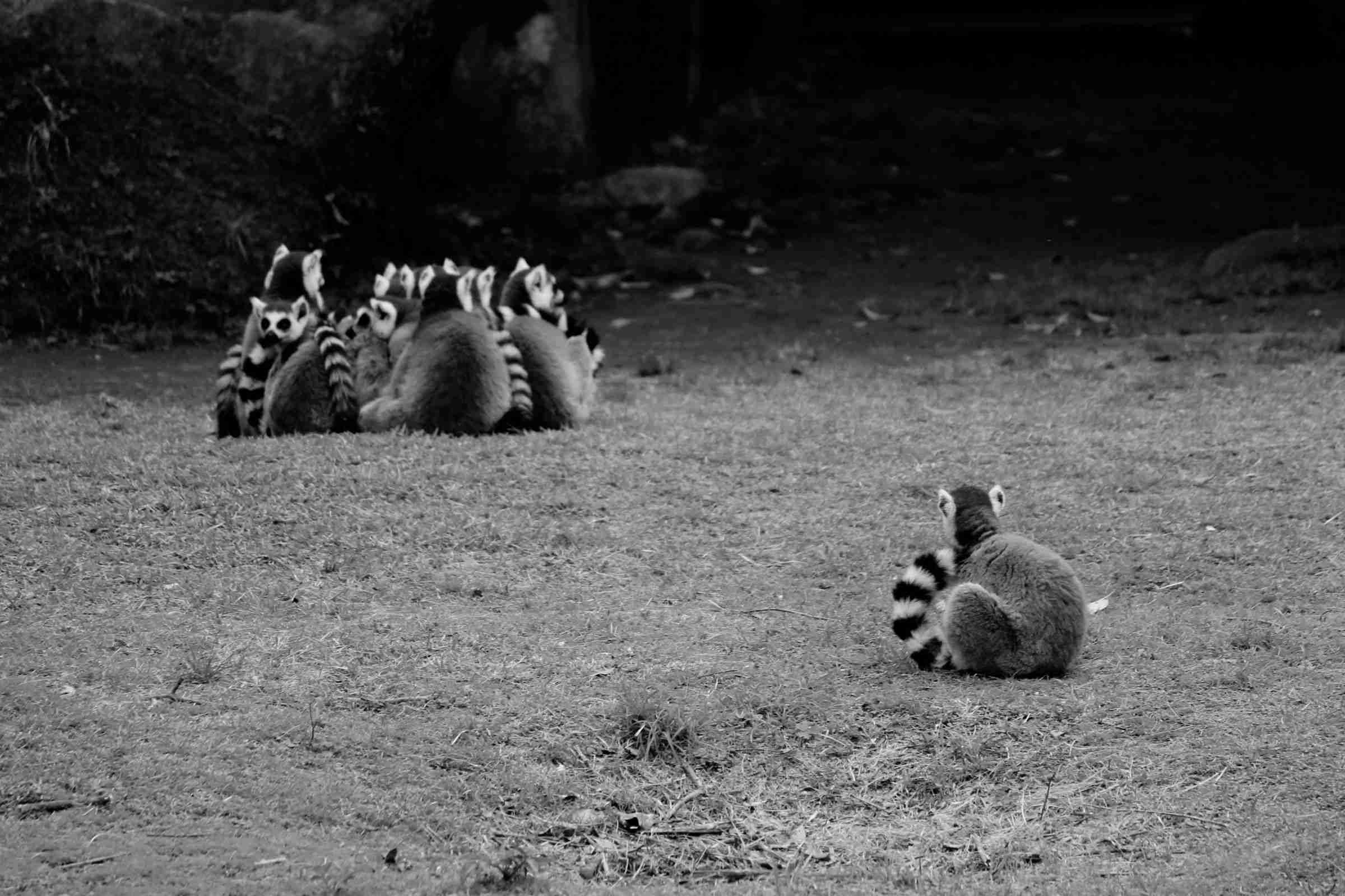 孤独から抜け出した人