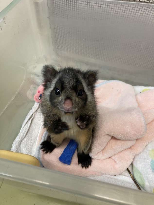 オーラ鑑定練習会part22