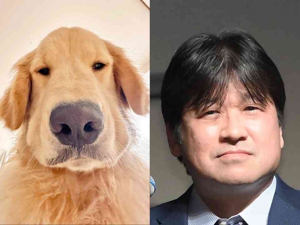 人間と人間以外で似てると思った画像を貼っていくトピ