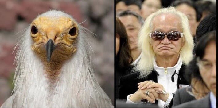 人間と人間以外で似てると思った画像を貼っていくトピ