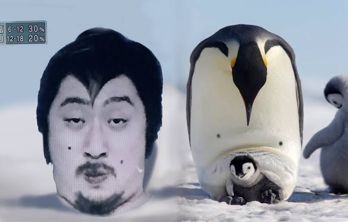 人間と人間以外で似てると思った画像を貼っていくトピ