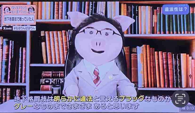 人間と人間以外で似てると思った画像を貼っていくトピ