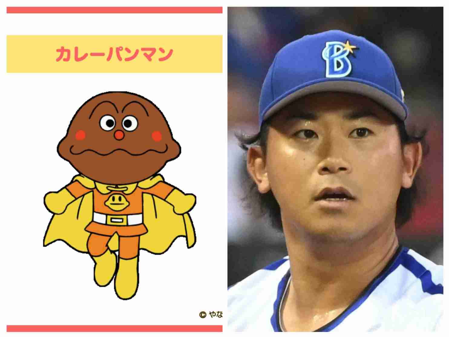 人間と人間以外で似てると思った画像を貼っていくトピ