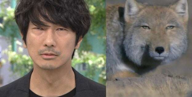 人間と人間以外で似てると思った画像を貼っていくトピ