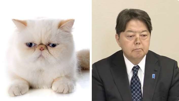 人間と人間以外で似てると思った画像を貼っていくトピ