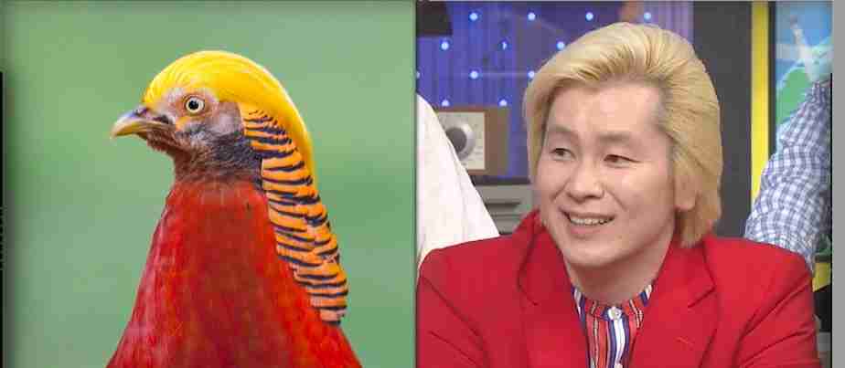 人間と人間以外で似てると思った画像を貼っていくトピ