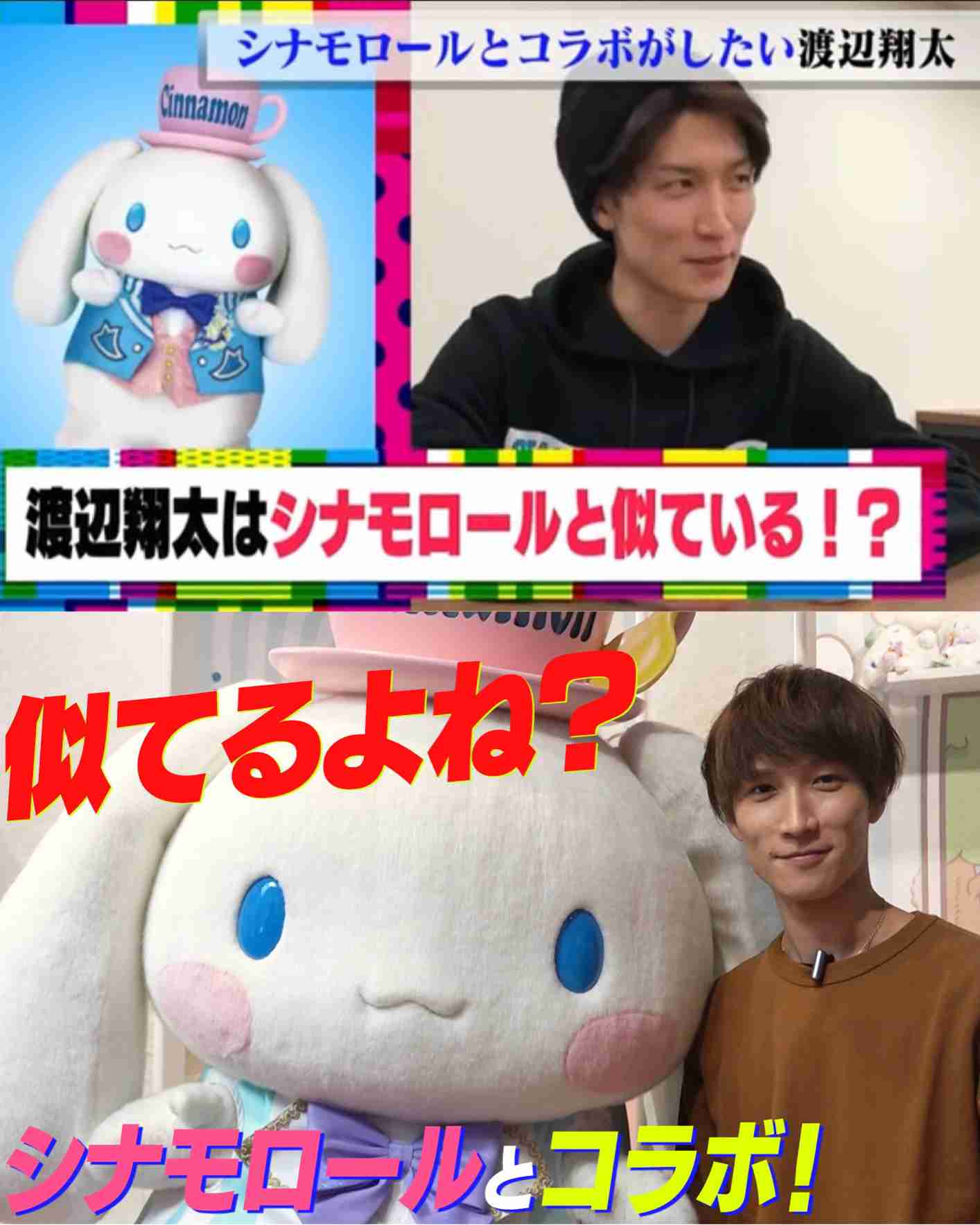 人間と人間以外で似てると思った画像を貼っていくトピ