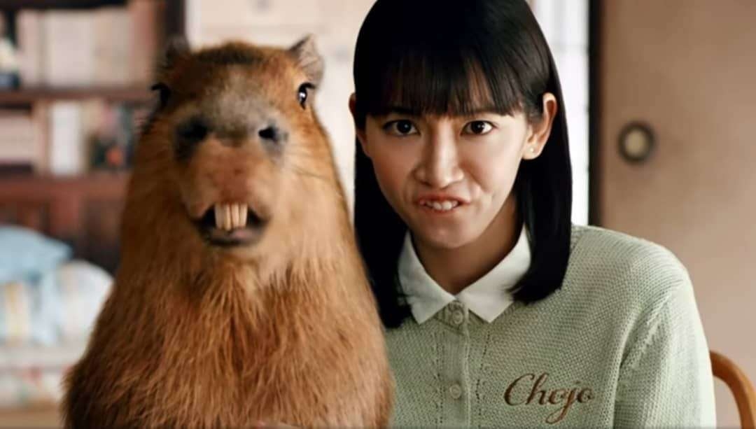 人間と人間以外で似てると思った画像を貼っていくトピ