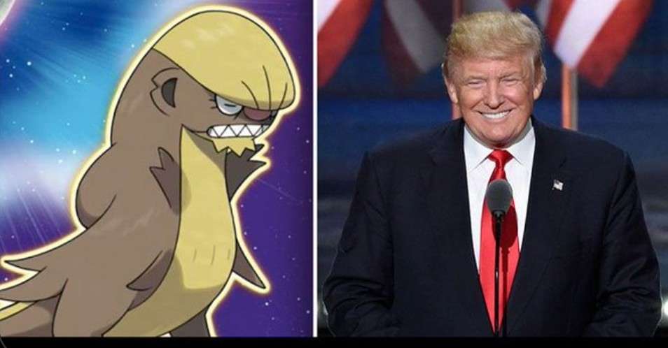 人間と人間以外で似てると思った画像を貼っていくトピ